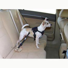 Dog Travel Harness (Autumn Matte: Blue, 35.8" x 2" x 34.6": small)