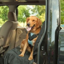 Dog Travel Harness (Autumn Matte: Blue, 35.8" x 2" x 34.6": medium)