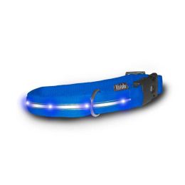 Nylon Collar with LED Lights (Autumn Matte: Blue / Blue, 35.8" x 2" x 34.6": large)